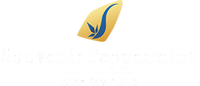 Best Hotels in Jaipur | Souvenir Peppermint Hotel